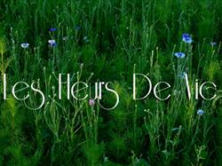 Les Fleurs De Vic, Vic-Fezensac - Horaires d'ouverture