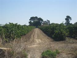 Domaine Mont d'Hortes, Saint-Thibéry - Horaires d'ouverture