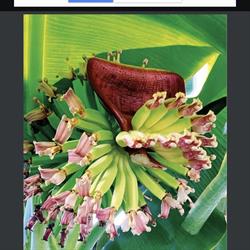 ESPACE DECO - LES ARTS VERTS, Torreilles - Horaires d'ouverture
