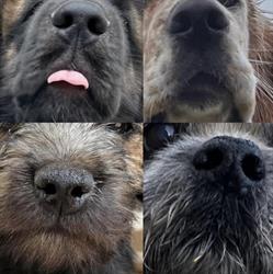 P'tites Truffes, Vertou - Horaires d'ouverture