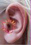 Audio-Top, Toulon - Horaires d'ouverture