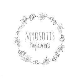 Myosotis, Puylaurens - Horaires d'ouverture