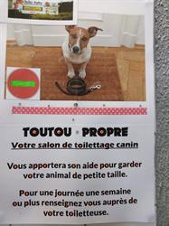 Toutou Propre, Roanne - Horaires d'ouverture