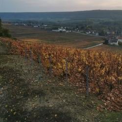 Champagne Lagrave-boulogne, Barzy-sur-Marne - Horaires d'ouverture
