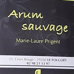 Arum Sauvage, Le Folgoët - Horaires d'ouverture