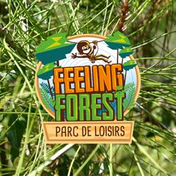 Feeling Forest, Saint-Hilaire-de-Riez - Horaires d'ouverture
