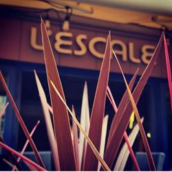 L'Escale, Nancy - Horaires d'ouverture