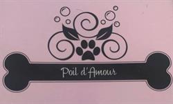 poil d'amour, Lanton - Horaires d'ouverture