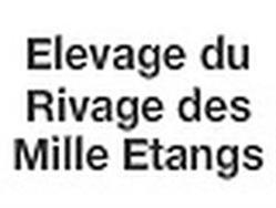 SARRAZIN CHRISTELLE, Fresse - Horaires d'ouverture