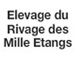 SARRAZIN CHRISTELLE, Fresse - Horaires d'ouverture