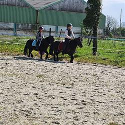 Horse Nutrition, Gapennes - Horaires d'ouverture