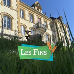 Salle Polyvalente, Les Fins - Horaires d'ouverture