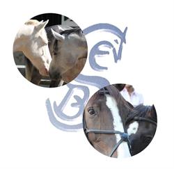 Société D'Equitation Bressane, Bourg-en-Bresse - Horaires d'ouverture
