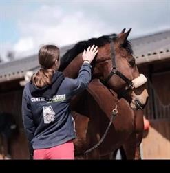 Centre Equestre Du Bocage, Flesselles - Horaires d'ouverture