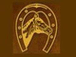 Association Centre Equestre Grenadiere, Saint-Cyr-sur-Loire - Horaires d'ouverture