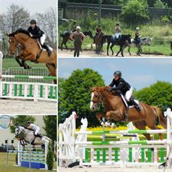 Poney Club Centre Equestre Parc, Châteauvillain - Horaires d'ouverture
