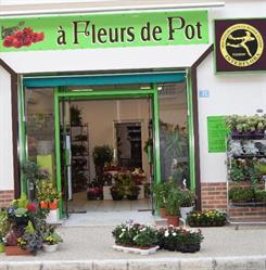 A fleur de Pot, Montmorillon - Horaires d'ouverture