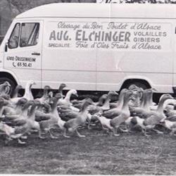 ELEVAGE DU BON POUSSIN FOIE GRAS D'ALSACE ELCHINGER AUGUSTE, Drusenheim - Horaires d'ouverture