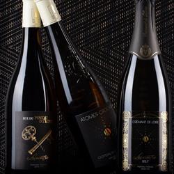 Vignoble Lecointre Earl, Champ-sur-Layon - Horaires d'ouverture