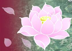 Lotus Harmony, Marseille - Horaires d'ouverture