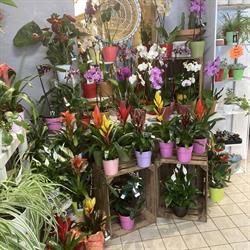 Le Nid Fleuri, Neuilly-en-Thelle - Horaires d'ouverture
