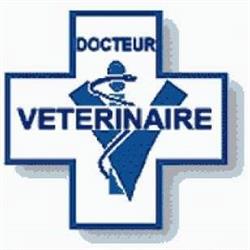 Clinique Vétérinaire Linthout-Ancion, Chalais - Horaires d'ouverture