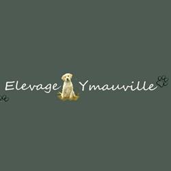 ELEVAGE D'YMAUVILLE, Grainville-Ymauville - Horaires d'ouverture