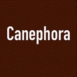 Canephora, Houilles - Horaires d'ouverture