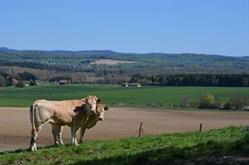 Gaec de Laval, Nonhigny - Horaires d'ouverture