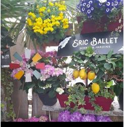 Ballet Eric Horticulteur, Montferrand-le-Château - Horaires d'ouverture