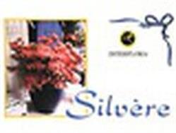 Silvère, Sancoins - Horaires d'ouverture