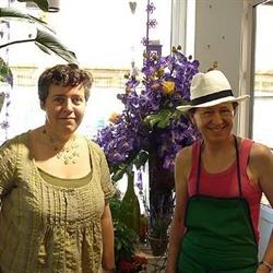 Flor'in, Wittelsheim - Horaires d'ouverture