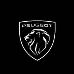 Garage Perdereau-Trouillet SARL, Fyé - Horaires d'ouverture