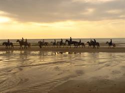 PONEY CLUB DE MARCK, Marck - Horaires d'ouverture