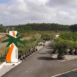 Médipalm, Saint-Geours-de-Maremne - Horaires d'ouverture