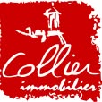 Collier Immobilier, Chalon-sur-Saône - Horaires d'ouverture