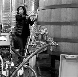 Domaine Georges Vernay, Condrieu - Horaires d'ouverture