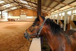Ecole D'equitation Du Closel, Le Thillot - Horaires d'ouverture