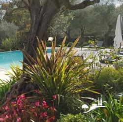 JARDINEA, Mougins - Horaires d'ouverture