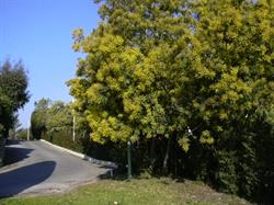 Le Ranch Camping, Le Cannet - Horaires d'ouverture