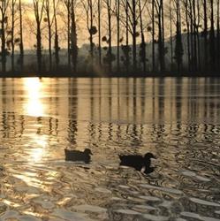 Les Trois Etangs, Jouy-sur-Eure - Horaires d'ouverture
