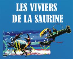 Les Viviers de La Saurine SARL, Saint-Georges-d'Oléron - Horaires d'ouverture