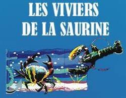 Les Viviers de La Saurine SARL, Saint-Georges-d'Oléron - Horaires d'ouverture