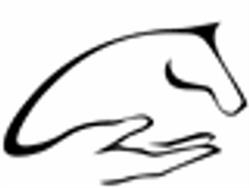 N.I.A.O. National Institute of Animal Osteopathy, Bois-Guillaume - Horaires d'ouverture
