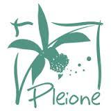 Pleione Design Floral, Thomery - Horaires d'ouverture