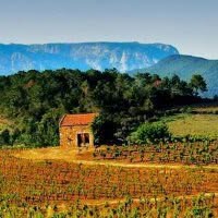 Freddy Rueda Sarl (Real Estate Languedoc - Occitanie), Saint-Geniès-de-Fontedit - Horaires d'ouverture