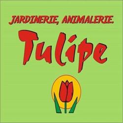 Jardinerie Tulipe, Berck - Horaires d'ouverture