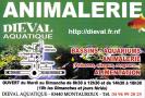 dieval aquatique, Montauroux - Horaires d'ouverture