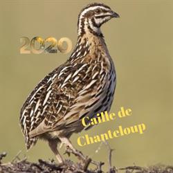 Cailles de Chanteloup, Corps-Nuds - Horaires d'ouverture