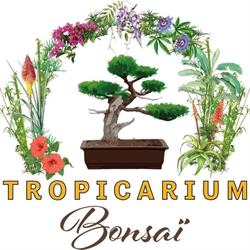 Tropicarium Bonsai La Baule, La Baule-Escoublac - Horaires d'ouverture